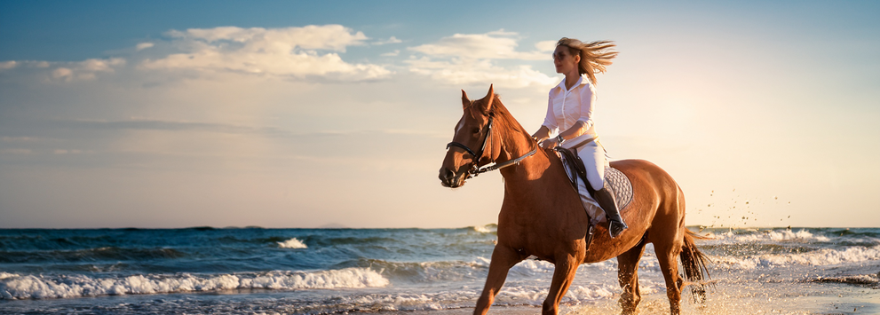 A woman riding a horse on the beach